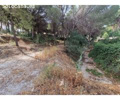 Finca rustica en Venta en Alhaurín de la Torre, Málaga
