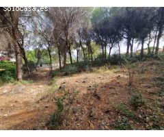 Finca rustica en Venta en Alhaurín de la Torre, Málaga
