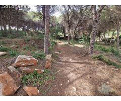 Finca rustica en Venta en Alhaurín de la Torre, Málaga