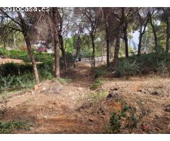 Finca rustica en Venta en Alhaurín de la Torre, Málaga