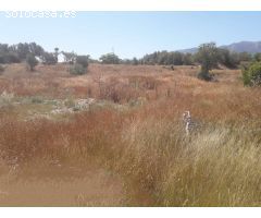 Finca en Venta en Alhaurín el Grande, Málaga