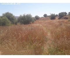 Finca en Venta en Alhaurín el Grande, Málaga