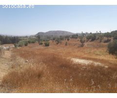 Finca en Venta en Alhaurín el Grande, Málaga