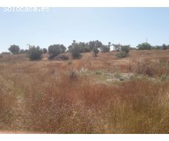 Finca en Venta en Alhaurín el Grande, Málaga