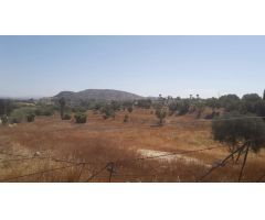 Finca en Venta en Alhaurín el Grande, Málaga