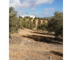 Finca en Venta en Sierra de Yeguas, Málaga
