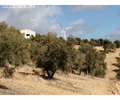 Finca en Venta en Sierra de Yeguas, Málaga