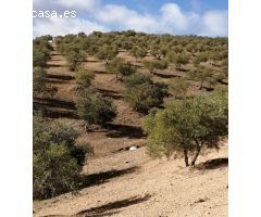 Finca en Venta en Sierra de Yeguas, Málaga