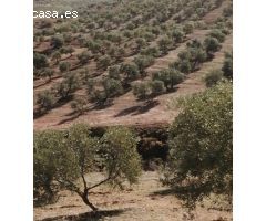 Finca en Venta en Sierra de Yeguas, Málaga