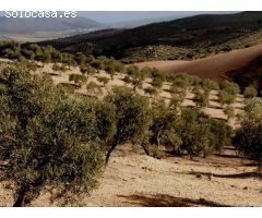Finca en Venta en Sierra de Yeguas, Málaga
