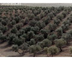 Finca en Venta en Sierra de Yeguas, Málaga