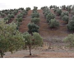 Finca en Venta en Sierra de Yeguas, Málaga