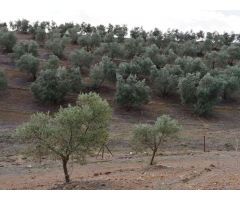 Finca en Venta en Sierra de Yeguas, Málaga