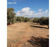 Finca en Venta en Sierra de Yeguas, Málaga