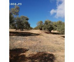 Finca en Venta en Sierra de Yeguas, Málaga
