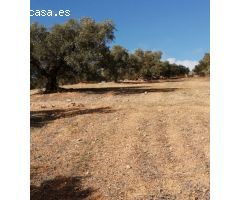 Finca en Venta en Sierra de Yeguas, Málaga