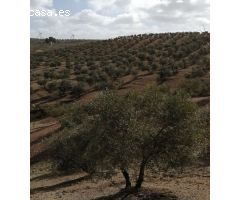 Finca en Venta en Sierra de Yeguas, Málaga