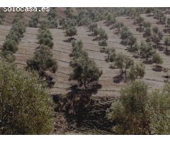 Finca en Venta en Sierra de Yeguas, Málaga