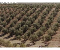 Finca en Venta en Sierra de Yeguas, Málaga