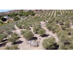 Finca en Venta en Alora, Málaga