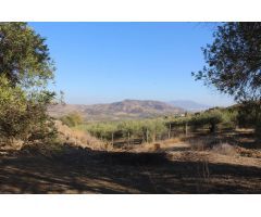 Finca en Venta en Alora, Málaga