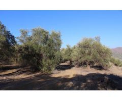 Finca en Venta en Alora, Málaga