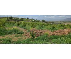 Finca en Venta en Villafranco del Guadalhorce, Málaga
