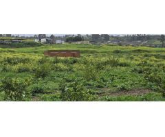Finca en Venta en Villafranco del Guadalhorce, Málaga