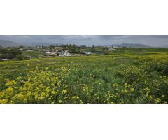 Finca rustica en Venta en Villafranco del Guadalhorce, Málaga