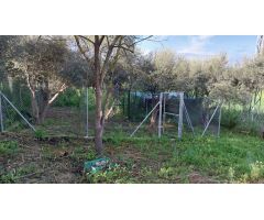 Finca en Venta en Alhaurín el Grande, Málaga