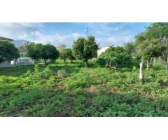 Finca en Venta en Alhaurín el Grande, Málaga