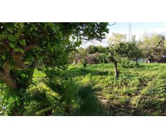 Finca en Venta en Alhaurín el Grande, Málaga