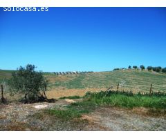 Finca en Venta en Alora, Málaga
