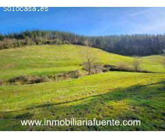 SE VENDE PABELLON CON TERRENO EN ARANGUREN, ZALLA