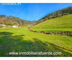SE VENDE PABELLON CON TERRENO EN ARANGUREN, ZALLA
