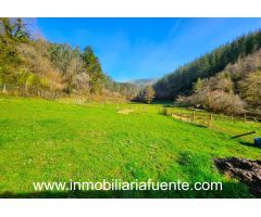 SE VENDE TERRENO CON PABELLON EN ARANGUREN, ZALLA