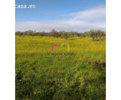 MAGNIFICA PARCELA EN LA ZONA DEL MANANTÍO!!