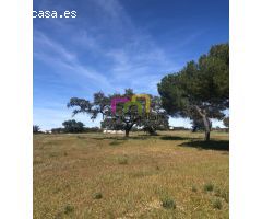 MARAVILLOSA PARCELA EN EL MANANTÍO!!