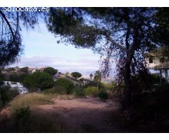 Parcela en Alhaurin de la Torre