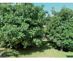 Villa en venta en Alhaurin de la Torre