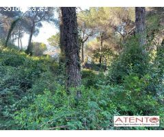Terreno en Can Tolra, Cabrils