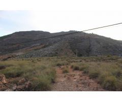 FINCA EN FELIX