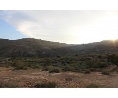 FINCA EN FELIX