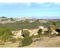 finca rústica con gran casa