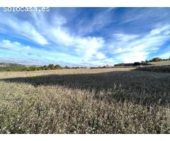 finca rústica con gran casa