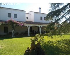 Chalet en Venta en Valencina de la Concepción, Sevilla