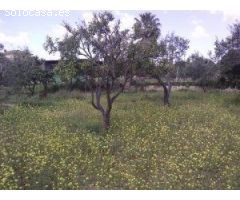 Finca rustica en Venta en Castilleja de Guzmán, Sevilla