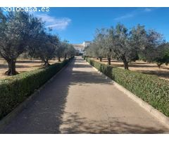 Villa de Lujo en Venta en Chiva de Morella, Valencia
