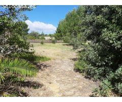 Solar urbano en Venta en Bétera, Valencia