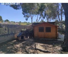 Chalet en Venta en Bétera, Valencia